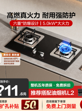 方太TH30/32B燃气灶煤气灶家用双灶台煤气罐液化天然气官方旗舰店