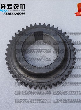 盐城悦达金马恒达/天同/石家庄250/20/300A变速箱一档从动齿轮