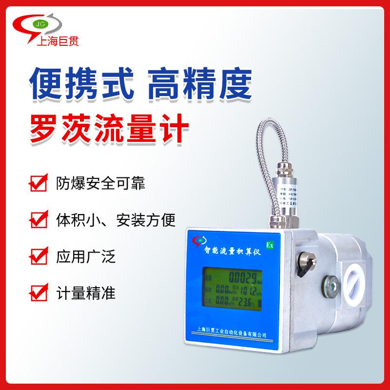 小罗茨流量计气体腰轮微型小罗茨可测天然气燃气温度压力流量计
