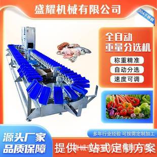 4级苹果称重分选机甲鱼全自动重量分拣机榴莲肉称重分拣机盛耀