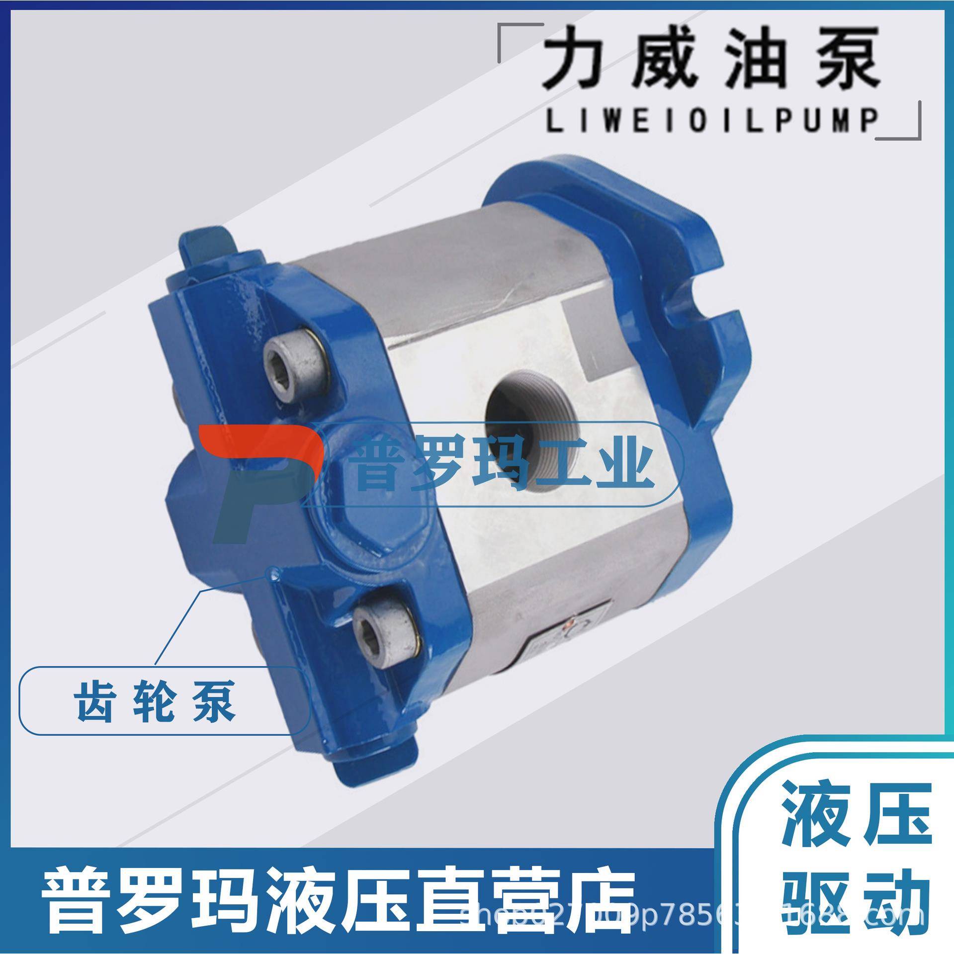 合肥力威1032300111转向油泵中联重科大吊车转向泵QC40/15-WP12