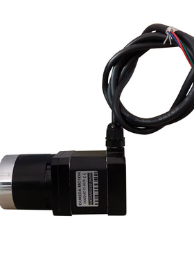 OK42DL47-FS-HG10 IP65 waterproof reduction motor 42mm NEMA17