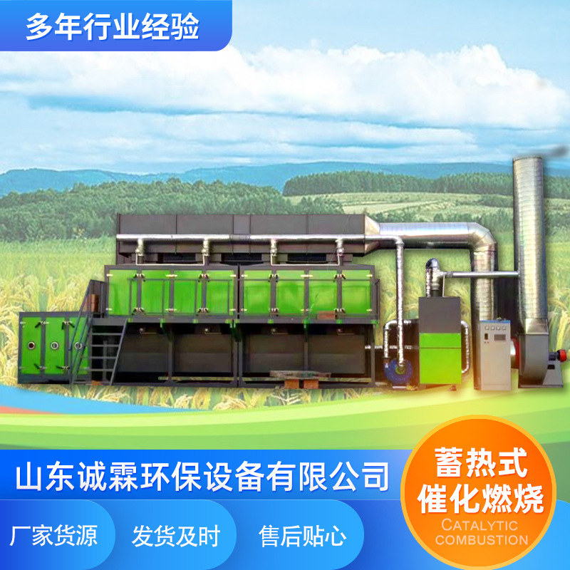 车间工业废气处理设备沸石转轮RTO蓄热焚烧炉RCO催化燃烧一体机
