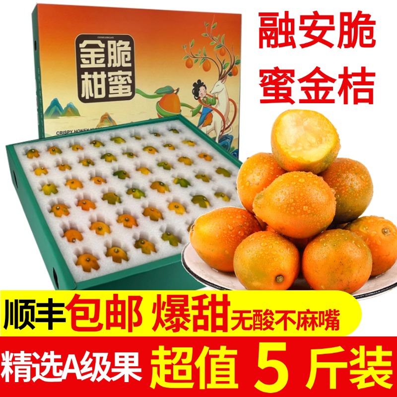 包邮顺丰】现摘融安脆蜜金桔整箱