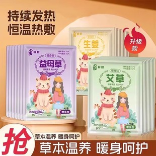 益母草草本暖身贴发热贴持续发热一整天恒温热敷贴暖身呵护多片装