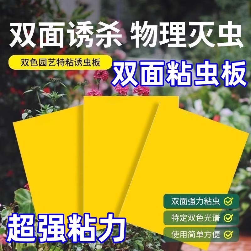 双面粘虫黄板诱虫板柑橘子树