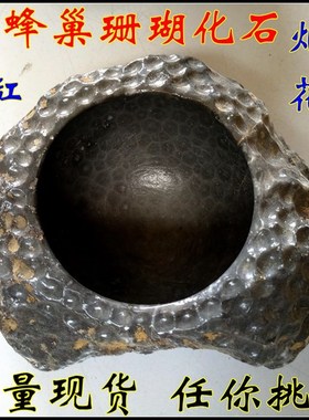 精品天然奇石原石头摆件 蜂巢珊瑚虫化石烟缸小鱼缸花盆 蜂窝状观