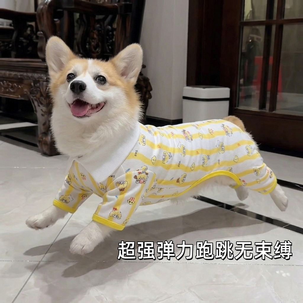 猫咪衣服金毛柯基小狗睡衣中大型犬大弹力秋冬防掉毛连体四脚秋衣
