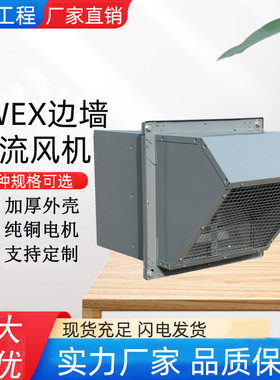 定制源头工厂厂房用DWEX边墙风机 边墙排风机 防爆边墙风机