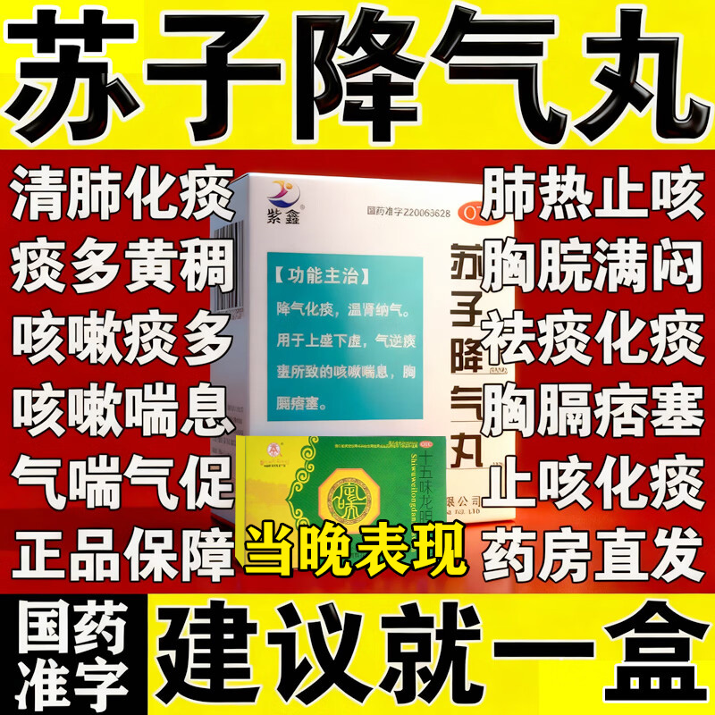 降气化痰  温肾养气