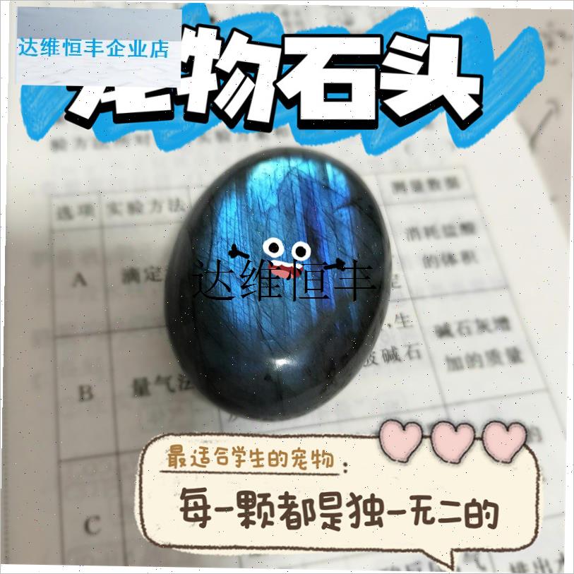 宠物石头天然水晶原石月光石稀罕宠物把玩摆Q件学生陪伴治愈拉长,
