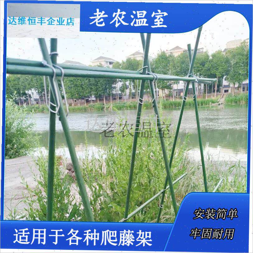 艺包塑钢管/纤维棒十字卡扣爬藤架钢L丝夹子温室大棚压顶簧.