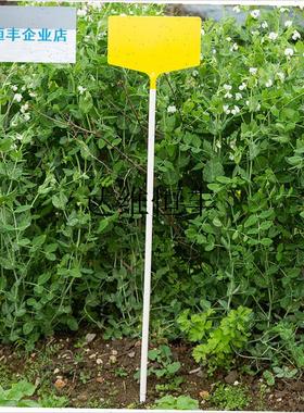 新款白色园艺立体塑料插地牌塑料管不锈L钢管农田园林实验地插标,