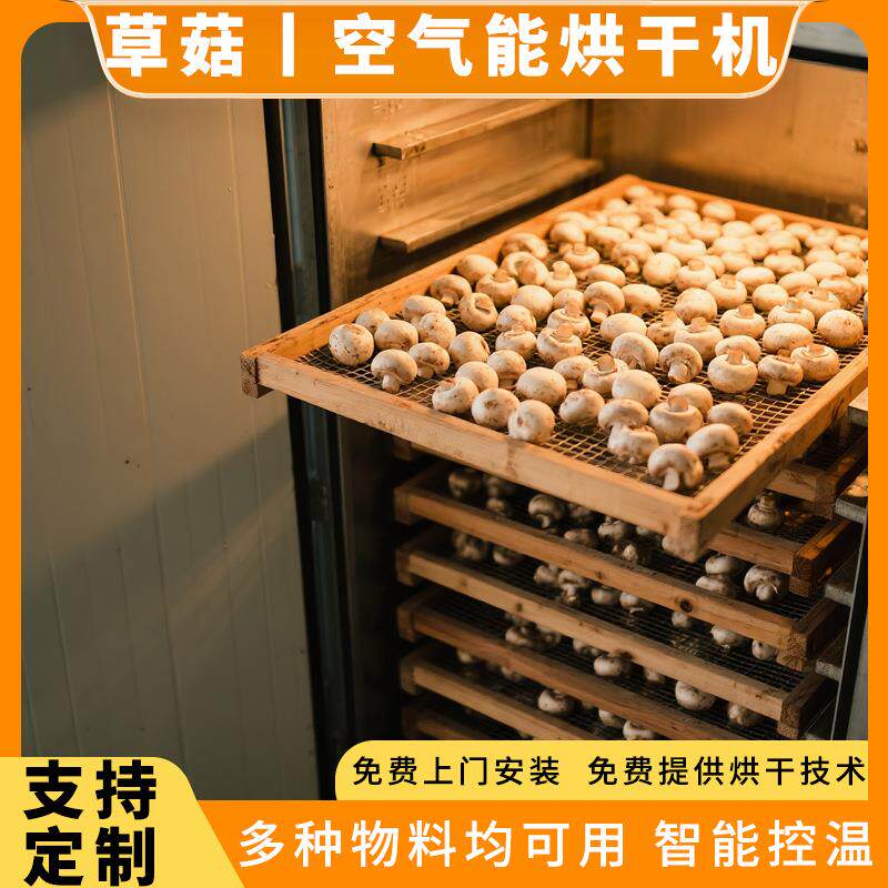 草菇烘干机 大型蘑菇赤松茸切片烘干箱 蟹味菇白玉菇秀珍菇烘干房