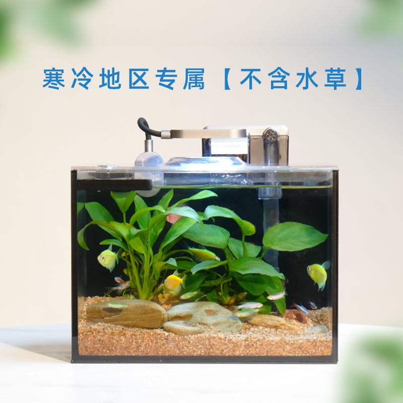 超白玻璃鱼缸斗鱼生态缸客厅家用桌面办公室小M型2023新款造景全