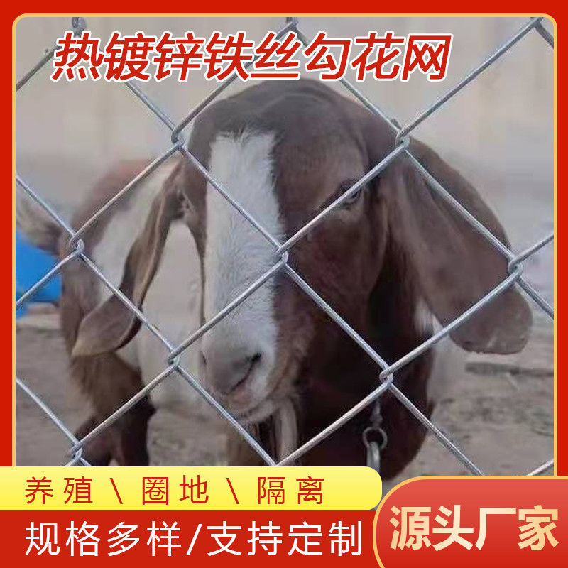 钢丝网围栏养殖勾花网养鸡猪狗网圈地围栏网果园防护网镀锌网格网