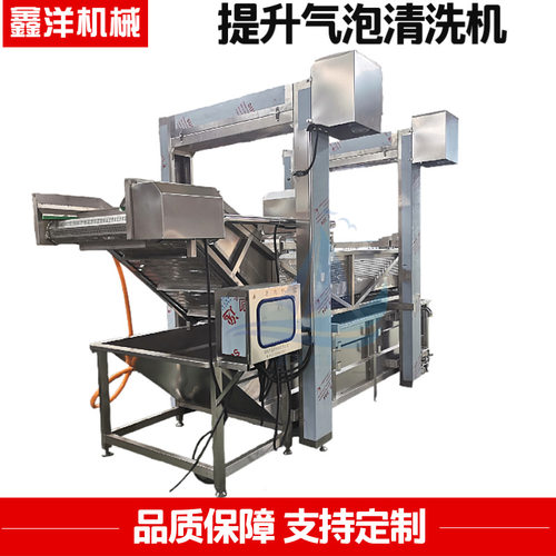 全自动果蔬气泡清洗机 大型自动提升洗菜机 海参海带苗清洗流水线