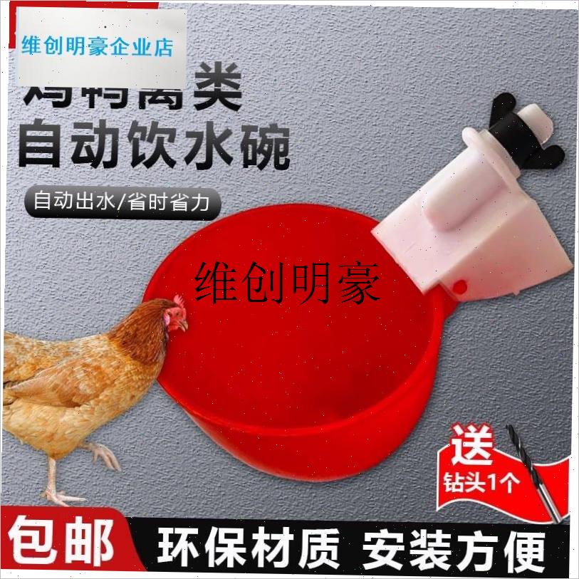 l大号鸡鸭鹅自动饮水器饮水v碗鸽子鹌鹑喂喝水碗家禽鸡用自动饮水
