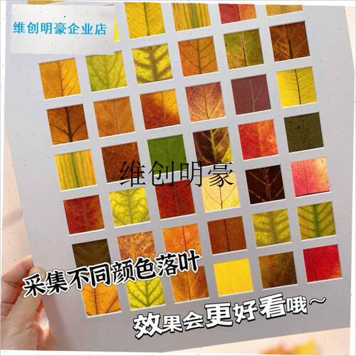 l落叶树叶标本相g框手工diy秋天叶子收集48宫格画框装饰画桌面摆
