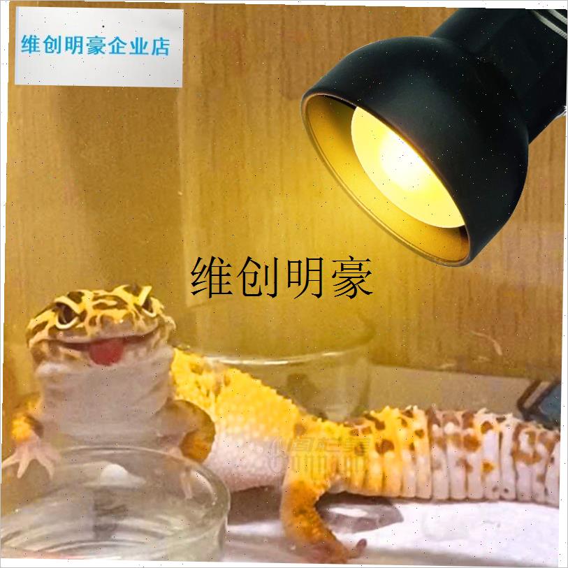 l芦丁鸡鹦鹉玄凤鸟爬虫宠物箱全光谱UVA万向保温灯加Y热取暖灯灯