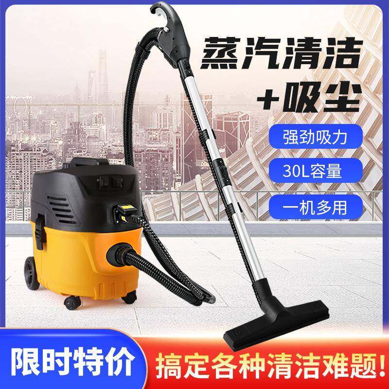 工厂直销高温蒸汽机地毯蒸汽清洗机家政商用消毒杀菌保洁用清洁机