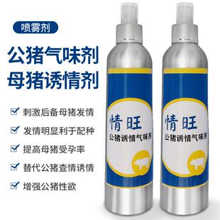公猪气味剂母猪诱情剂查情诱情荷尔蒙断奶母猪后备母猪不发情