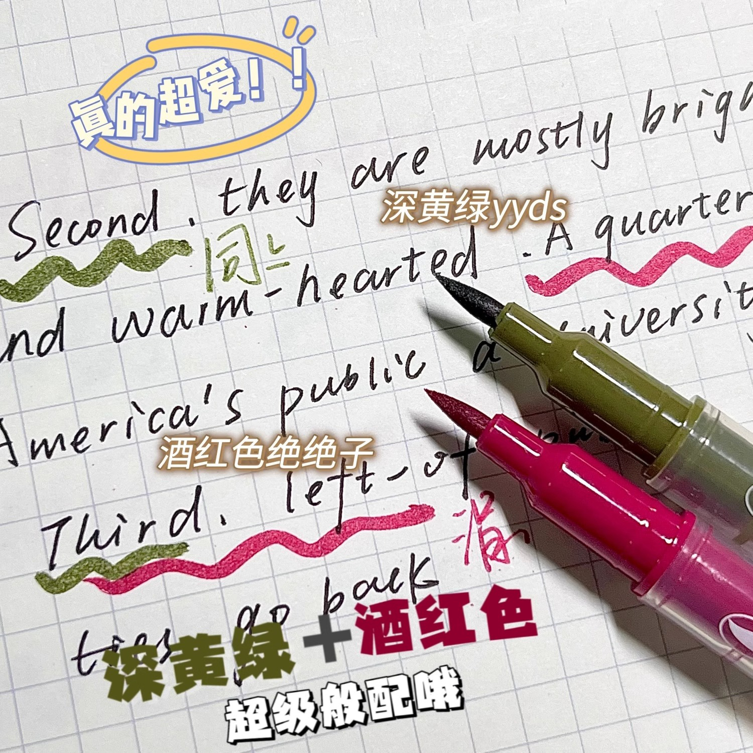 点石制笔双头马克笔酒红批改红笔