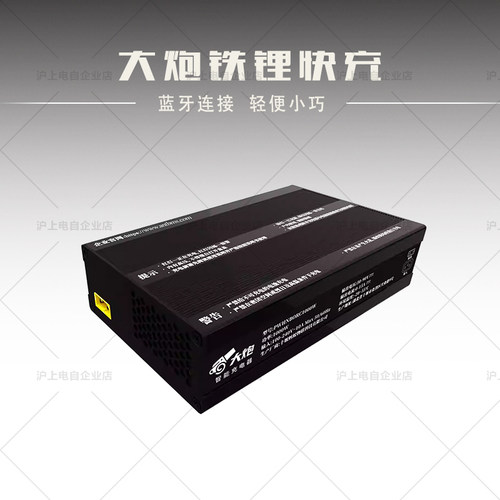 虬龙轻蜂大炮轻蜂小炮电动车大炮锂电池充电器可调电压电流三元