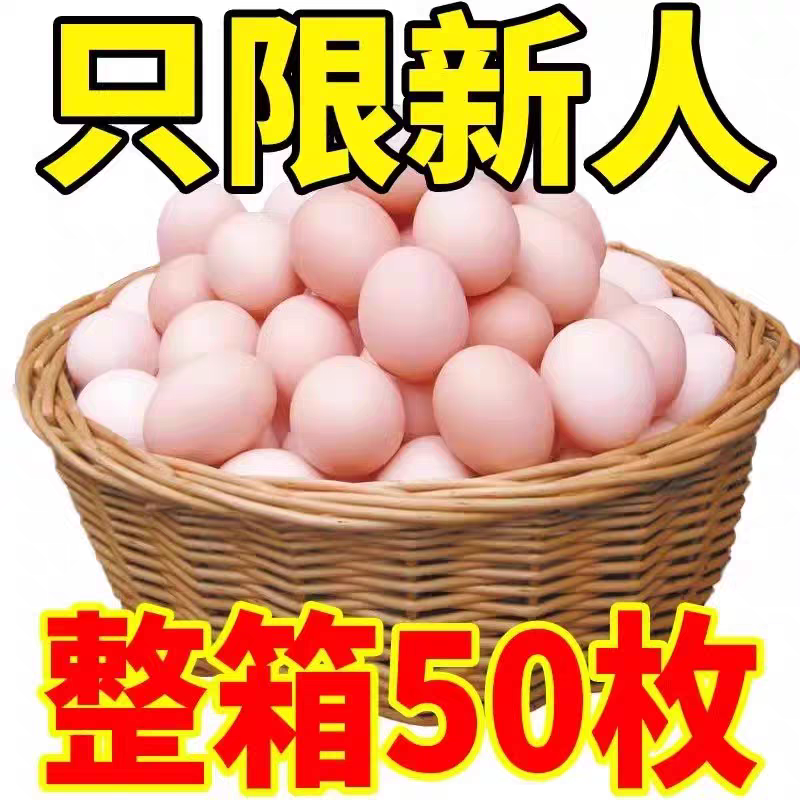 晓港湾农家林下散养柴鸡蛋笨鸡蛋