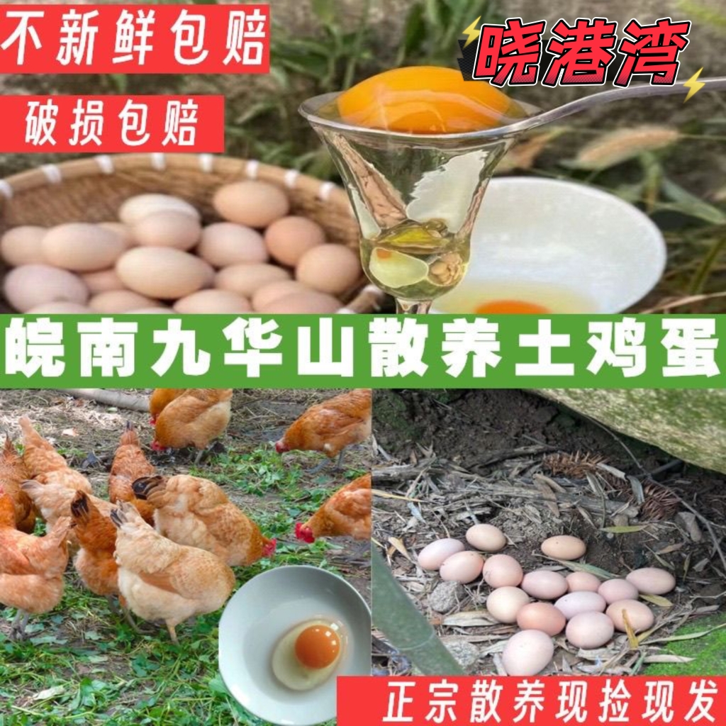 晓港湾九华山农家土鸡蛋50枚包邮