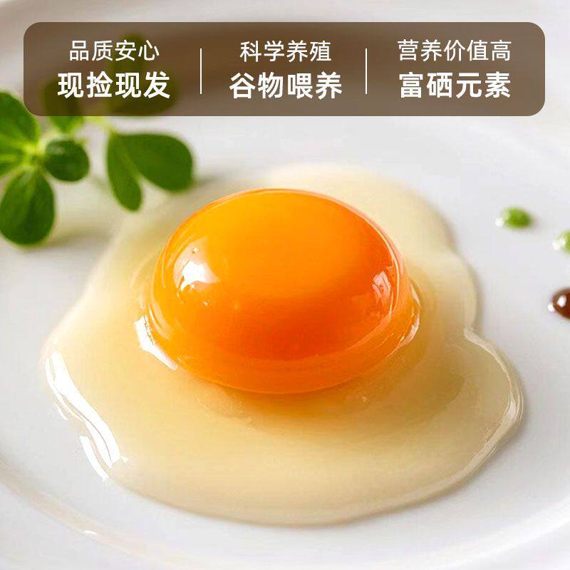 新鲜谷物喂养鸡蛋营养高现捡现发