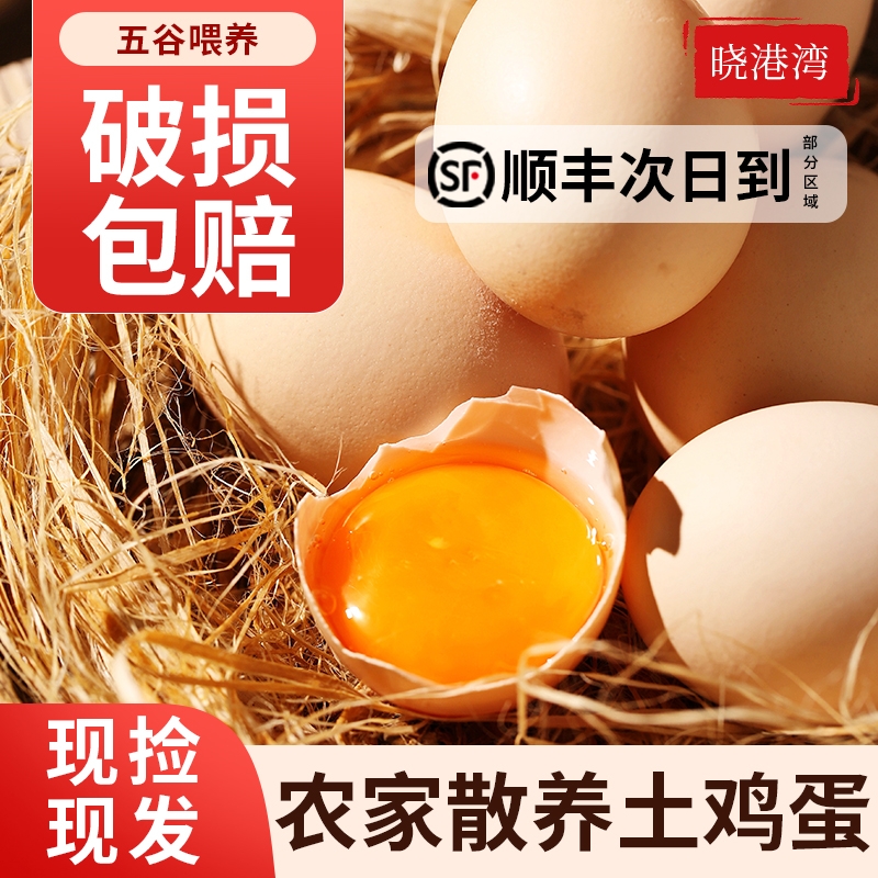 晓港湾顺丰包邮50枚九华山土鸡蛋