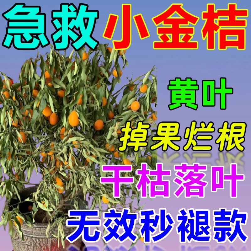 金桔树营养液专用肥料叶子发黄落叶枯叶掉果促生根开花盆栽通用型