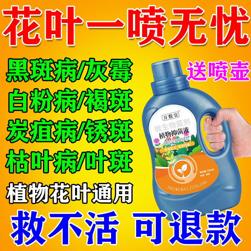植物抑菌液花叶康喷雾花病康抑菌剂月季花卉多肉灰霉叶斑黑斑白粉