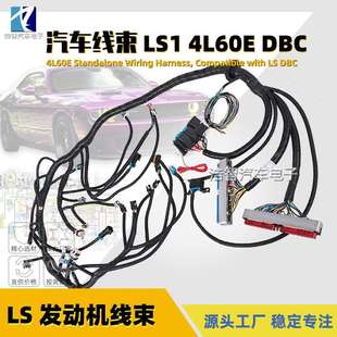 6.0 发动机线束 5.3 4.8 电缆驱动 LS1 适用于GM DBC 4L60E