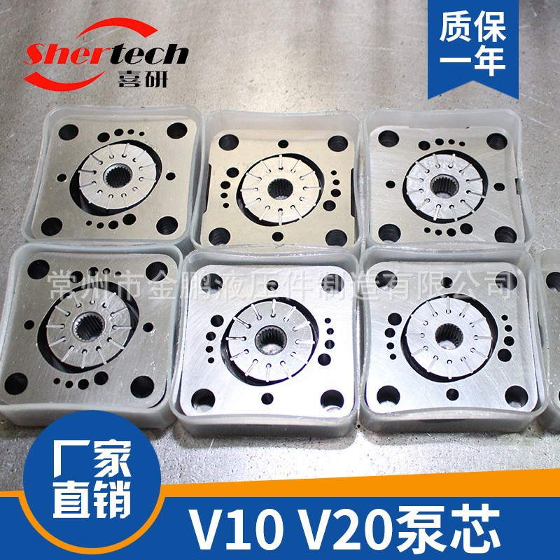 V10泵芯 V20泵芯配件
