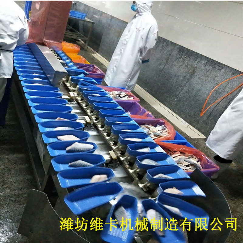 桔子大小分级机全自动电子分选设备干果重量分选机