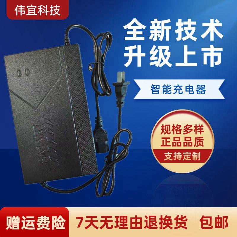 24v12ah电动轮椅充电器36伏20安电瓶车儿童小海豚老年代步冲圆头