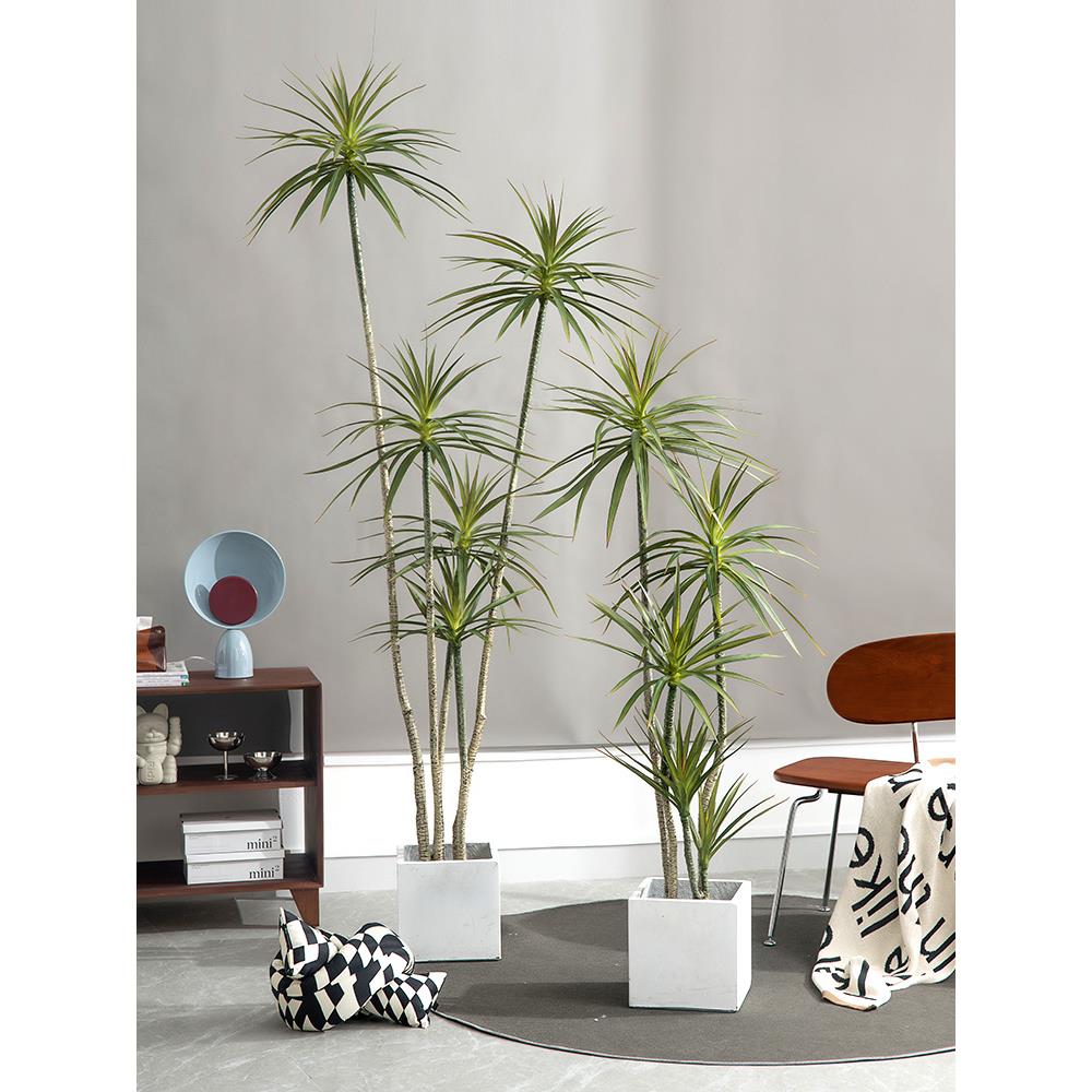 仿真植物龙血树盆栽千年木马尾铁侘寂风仿生绿植假树大型摆件假绿