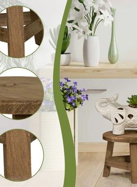 Modern Bonsai Rack Wooden Mini Stool Round Display Succulen