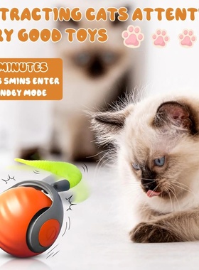 NewSpeedy Tail 2.0 Cat Toy, Speedy Tail Cat Toy, Interactiv