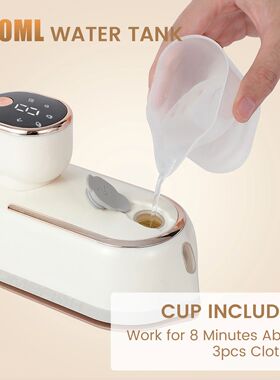 Handheld Portable Mini Steam Iron with Four Temperature Cont