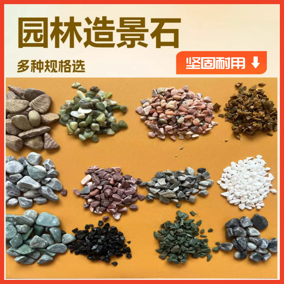 白色鹅卵石园林造景铺路河北厂