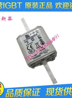 熔断器170M3020 170M3021 170M3022 170M3023 500A 630A现货