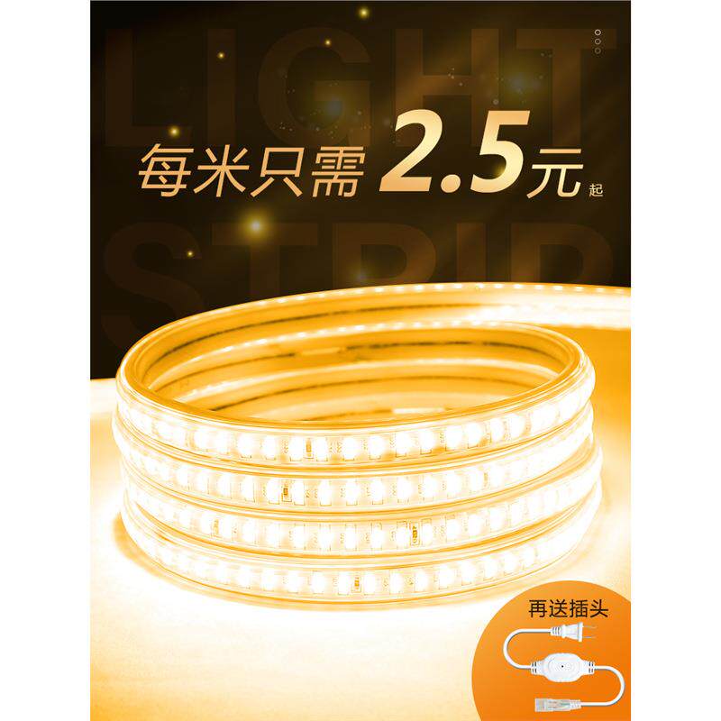 led灯带条220v家用户外防水超高亮客厅灯带室外外墙工地隧道照明