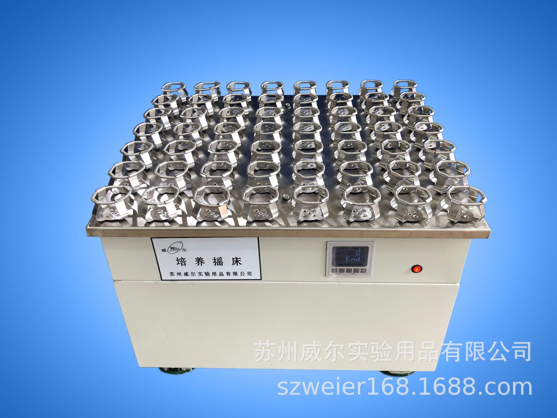 摇床厂家苏州威尔供应ZP-42培养摇床摇瓶机菌种培养摇床细菌摇床