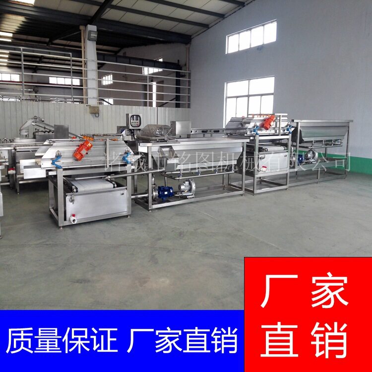 藕带莲藕清洗设备 泡椒藕块加工流水线 喷淋清洗机