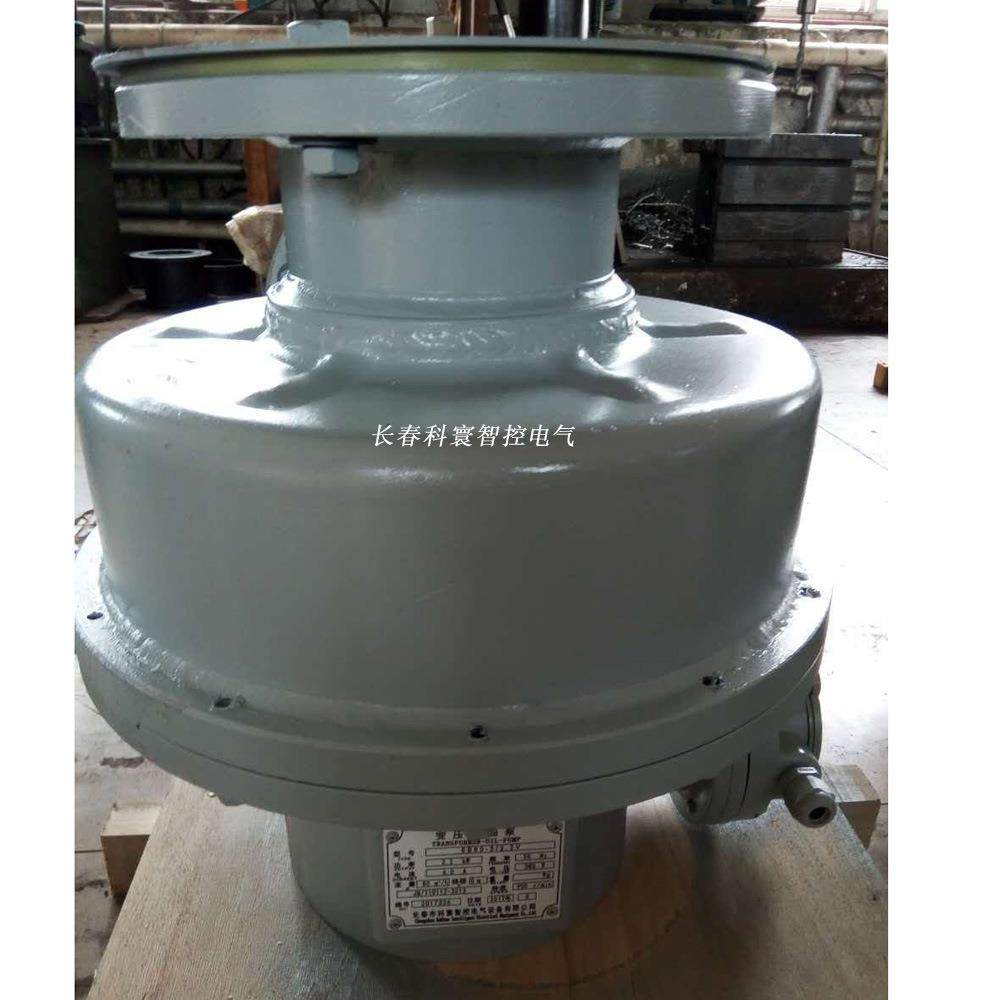 6B4.100-7/3V电力变压器油泵、潜油泵