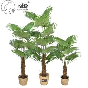 树猫仿真扇葵树盆栽人造蒲葵假树大型植物落地盆景客厅装饰假绿植