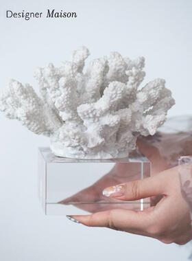 白色珊瑚现代轻奢入户玄关装饰品样板间客厅桌面酒柜装饰品摆件